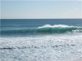 Scabs and floreat winter 08 