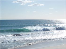 Scabs and floreat winter 08 