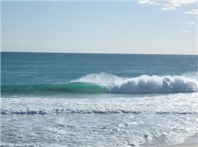 Scabs and floreat winter 08 