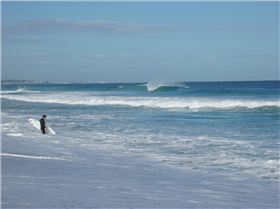 Scabs and floreat winter 08 