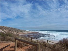 Distant Memories Winter 07