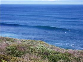 T-Bears Offshore All Day!!