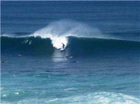 T-Bears Offshore All Day!!