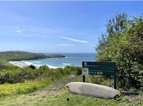 53332681629c0f8b45988o