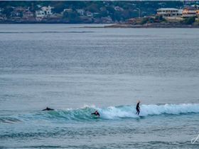 5487926875717009a3b1eo