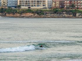 54880353698b79dea6f6co