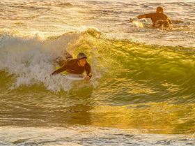 54933500830f1d9a6337co