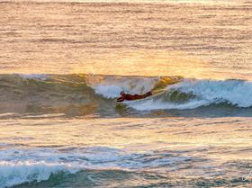 5495259614167e59a430co