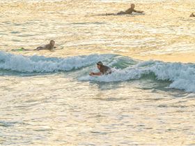 5500174359902215b1041o