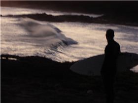 Fosters,Dogs,june 06 007