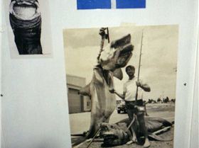 places to go places to see need know locals to get there