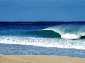 3302163879 51f118d841