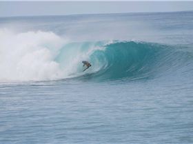 Reef Diving Indo Style