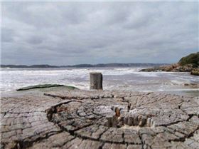 Denmark MadFish Classic 2009