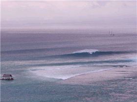 7322 154403187052 602307052 3529428 8152434 n[1]