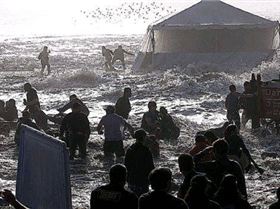 Mavericks spectators