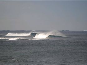 summer like .....but.... todays pics 21/05/10