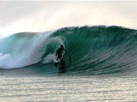 Sandy, the Indocean owner getting his money worth.