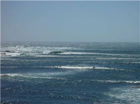 nice swell for new years day