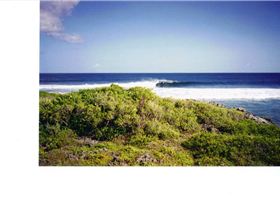 20-02-2011 1;03;35 PM