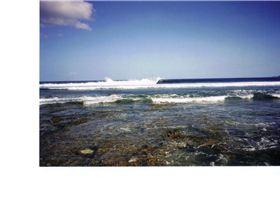 20-02-2011 1;04;50 PM