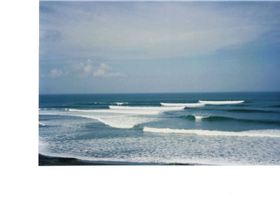 20-02-2011 1;05;54 PM