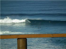 Another great lineup