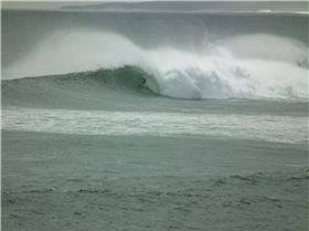 Another great lineup