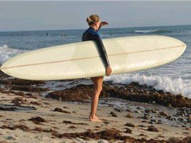 8329 132941342483 685877483 2962859 8283317 n