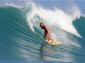 73460 440833276175 558306175 5734517 5315576 n