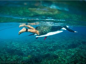 Stephan Kleinlein20110630-IMG 6592