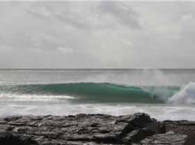 Tow In's - 24th AUG 2011