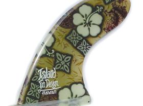 bighwbrownpatsunsetIFS