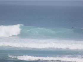 gloo 2011 various 002