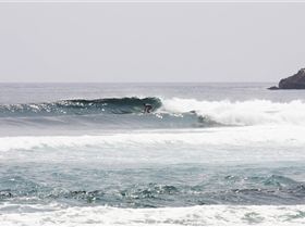 46 Yoyos Rayne 3, SUMBAWA