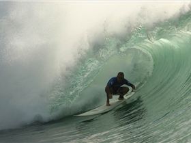 Photo by Ricardo Junji-2-oct-2005080