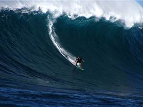 Laird-Monday1-5003[1]