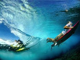 tumblr luik130p9a1r65x1to1 500[1]