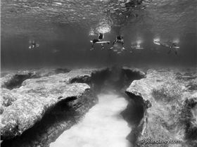 Pipe-Reef-Surfers[1]