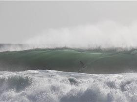 Kirra Boxing day 2011