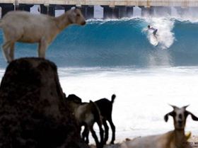 taylor india1-545x363