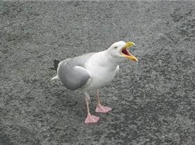 H6yMi6fUB 1JR964xxG8RxsYArlNNn1lR5PWutchKM43vwZOGig1kDFTEbGWefFQ1pgh4vDtYYhA