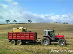 Tractor-and-trailer web