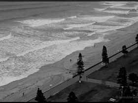 manly this morning1