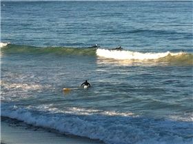 7:30am Mettams - Perth