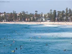 Manly Sunday Morning