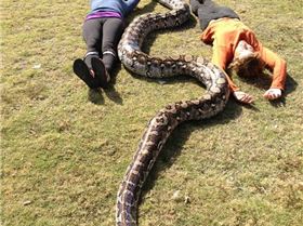 383831 10150587650649047 680534046 10806459 1751614738 n