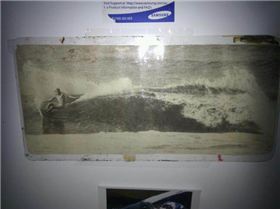 528249 10150679390663369 571518368 9316989 279094946 n