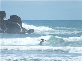 Surfinf Piha