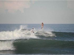 surfing medewi res